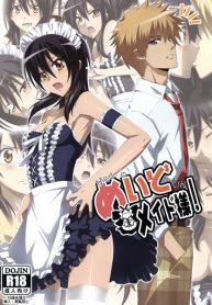 Meid in Maid-sama! (Porncomix Cover)