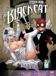 The Nuptials of Spider-Man & Black Cat (porncomix cover)