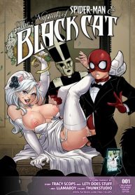 The Nuptials of Spider-Man & Black Cat (porncomix cover)