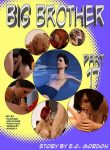 Big Brother 17 – Sandlust (Porncomix Cover)