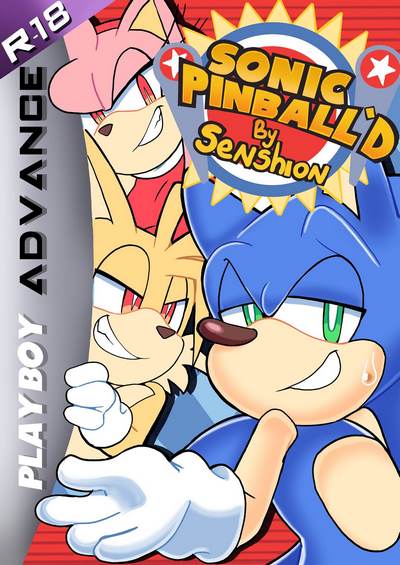 Sonic Pinball’d- senshion [sonic the hedgehog]